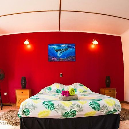 Kahina Lodge 汉格罗阿 外观 照片